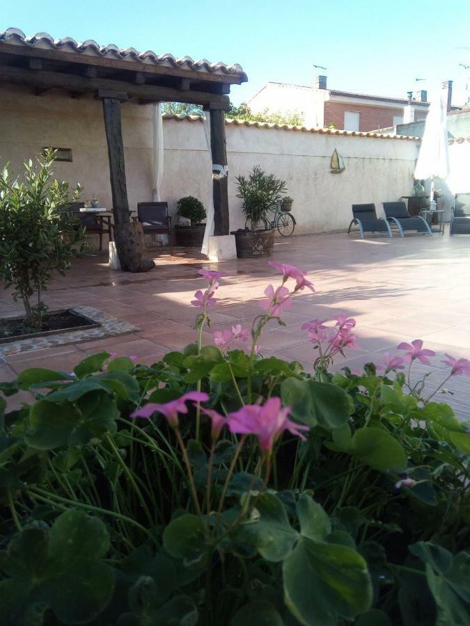 Villanueva de Duero Pinar De Las Cabanuelas מראה חיצוני תמונה